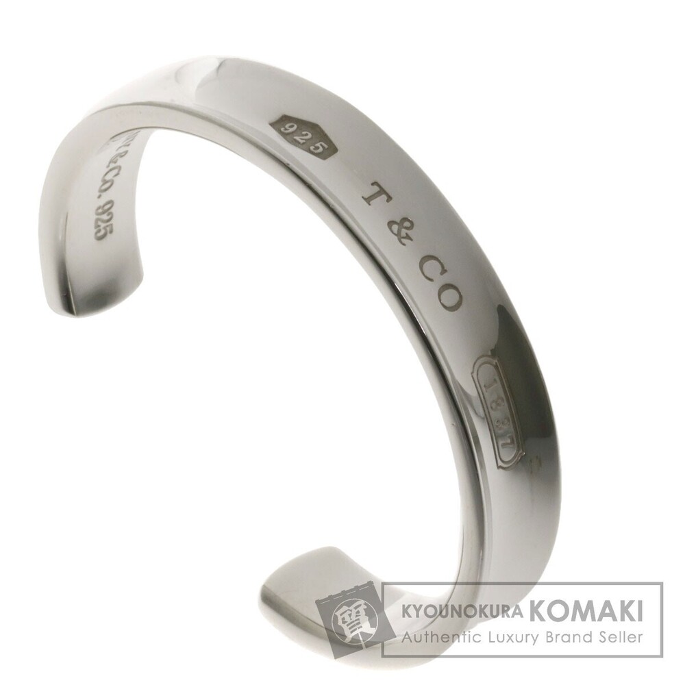 Tiffany Bangle Necklace Silver